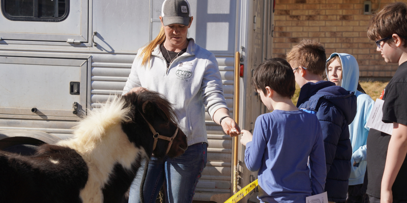 Students listen to a presentation from a horse trainer and pet a pony