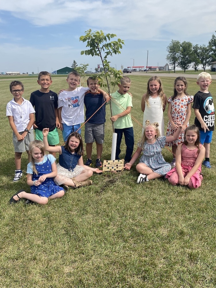 2nd graders happy with their tree