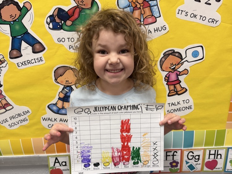 jelly bean graphing 