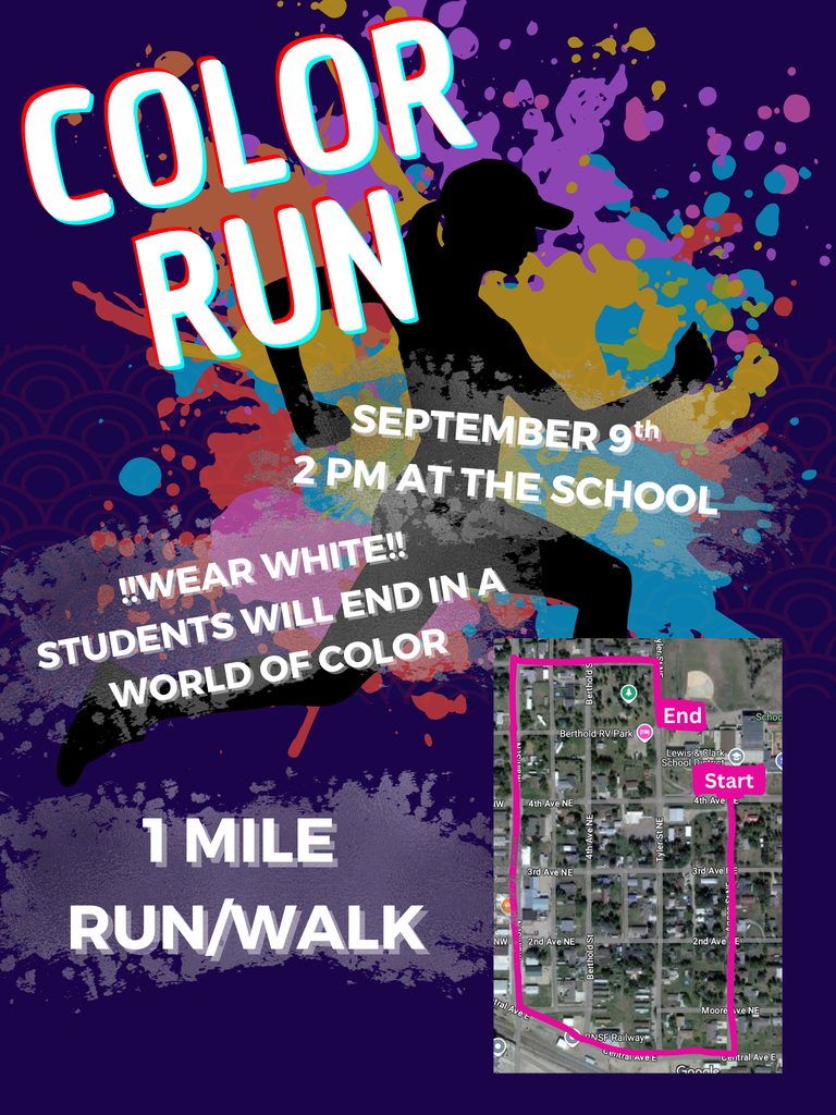COLOR RUN