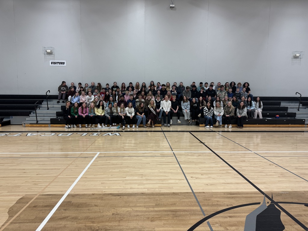 DecorativeDecorative