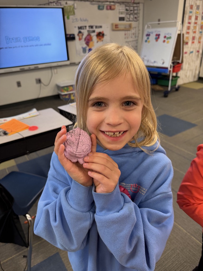 Brain made of playdoh