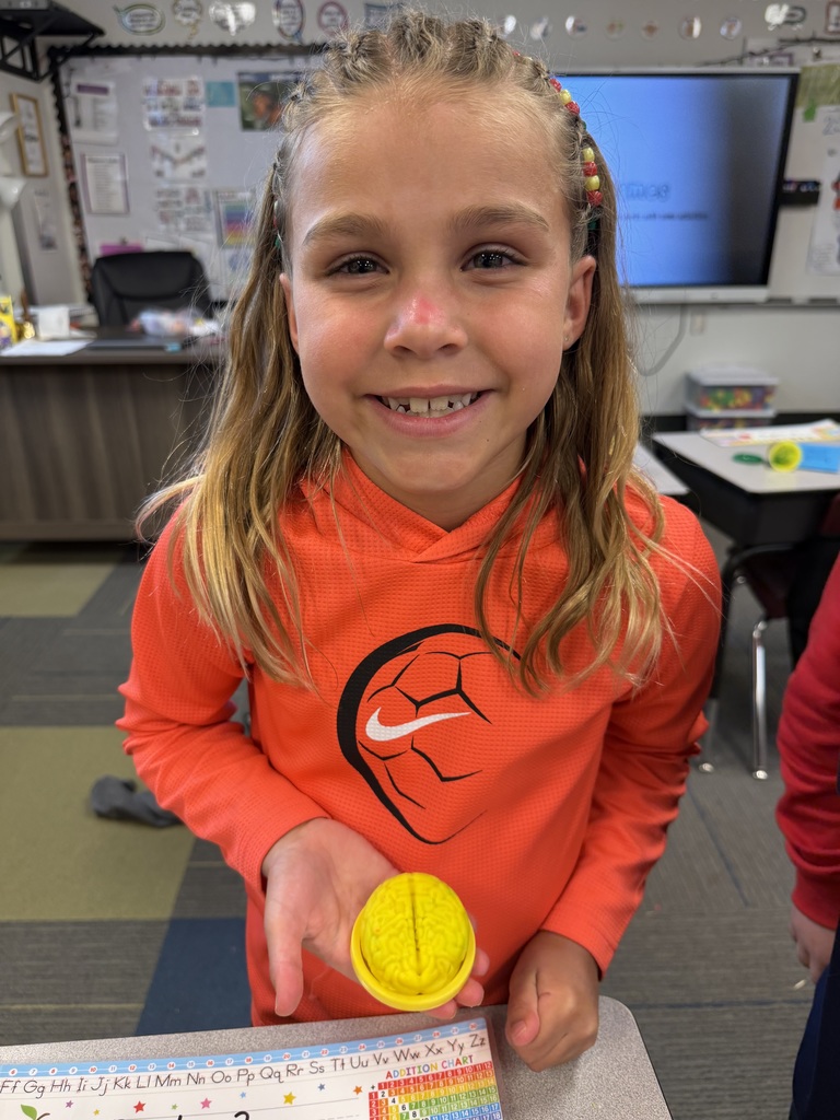 Brain made of playdoh
