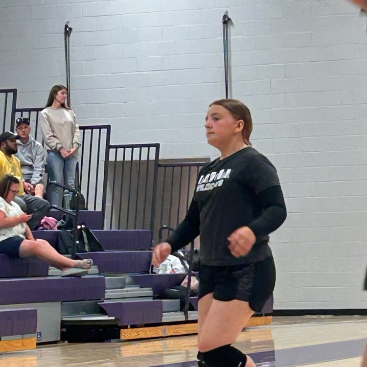 VB