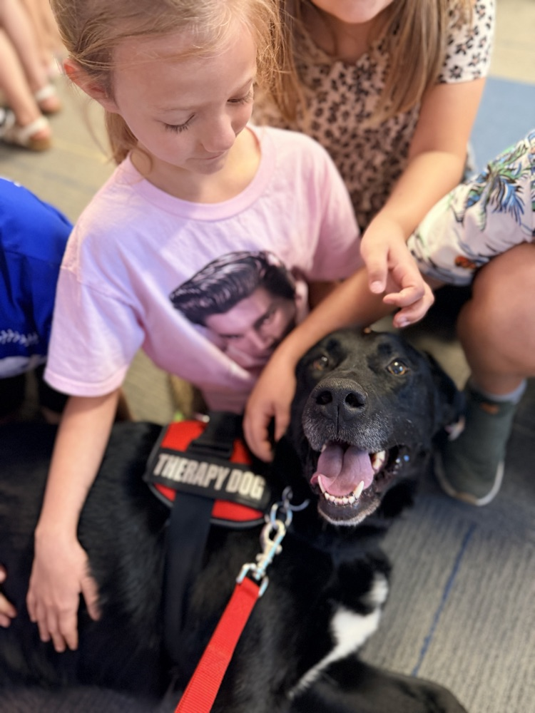 Bruno was soaking up all the pets!