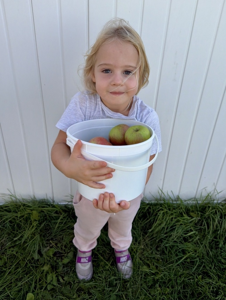 Preschool picking apples