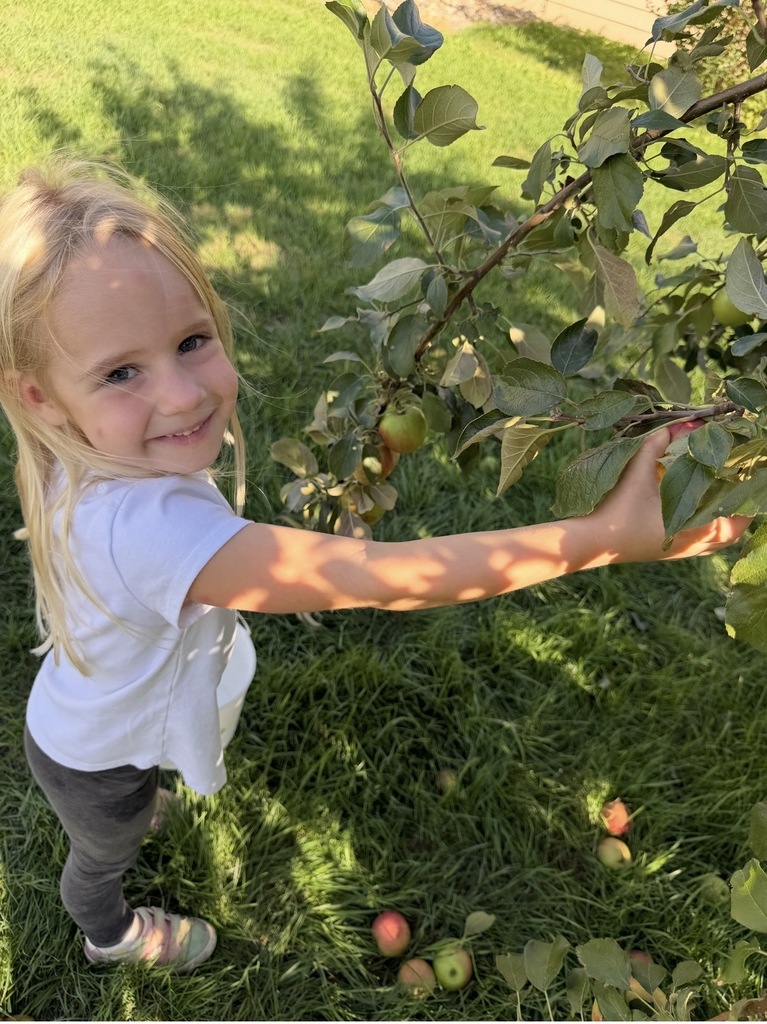 Preschool picking apples