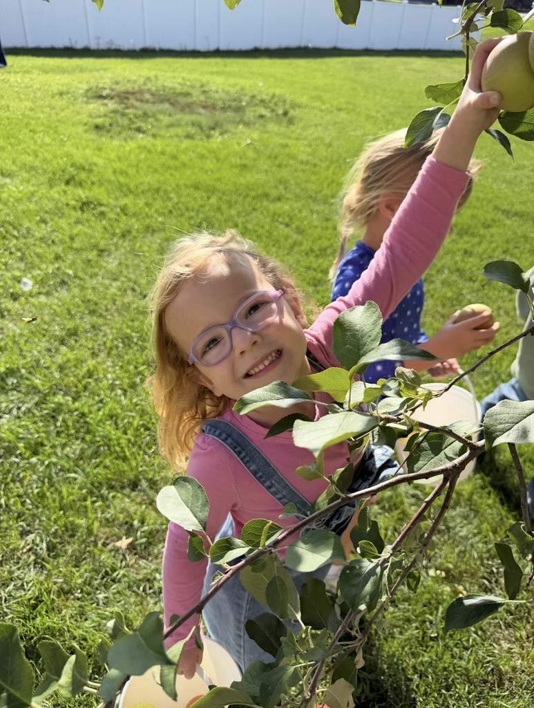 Preschool picking apples