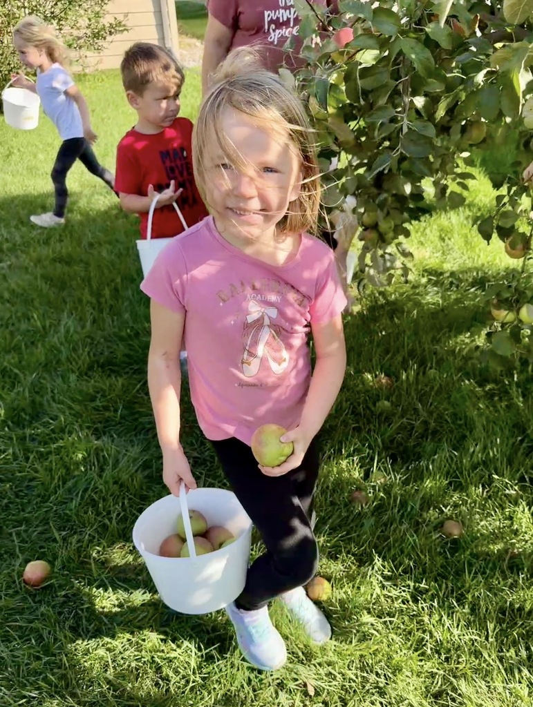 Preschool picking apples