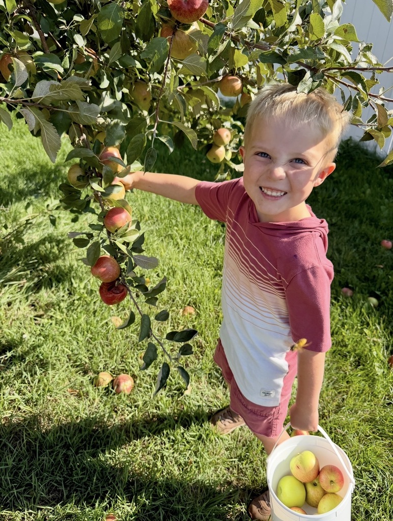 Preschool picking apples