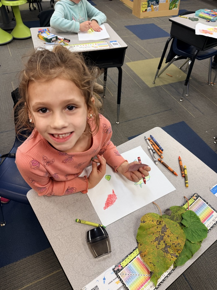 leaf rubbing