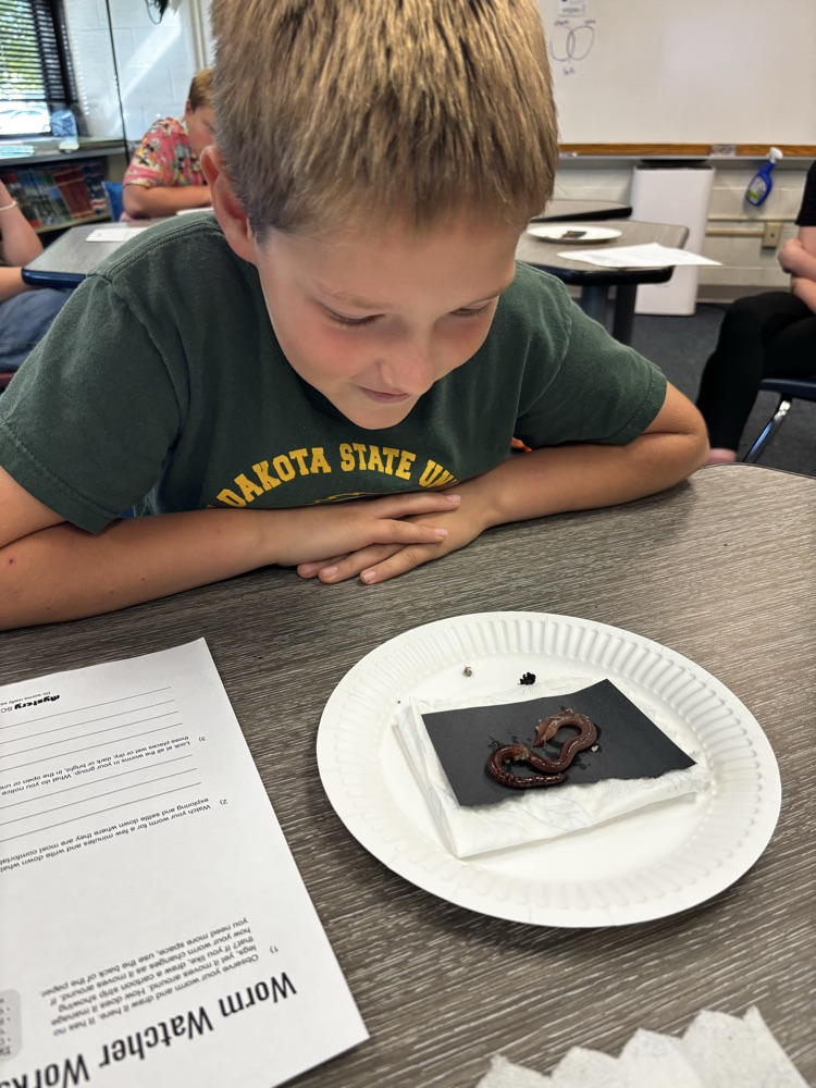 worms