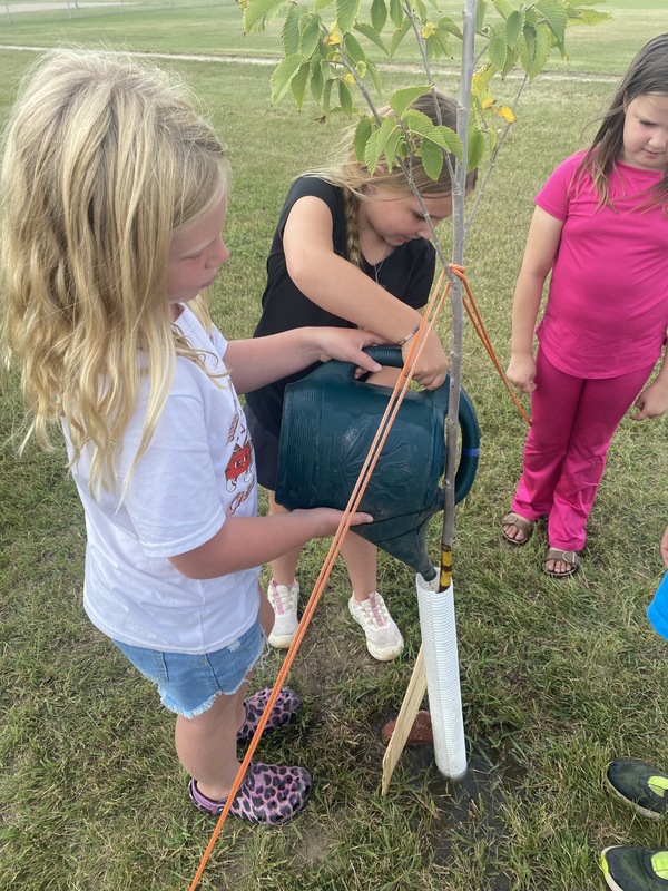 Taking care of their tree