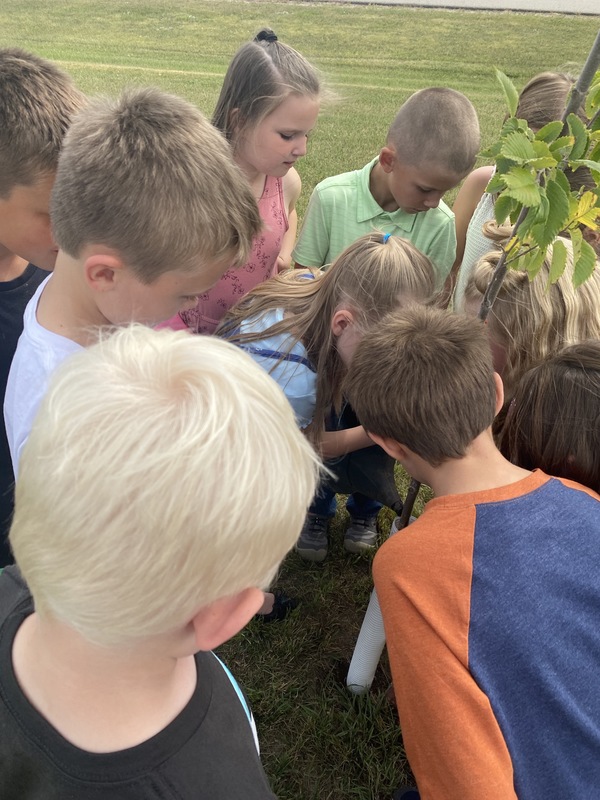 Taking good care of their tree