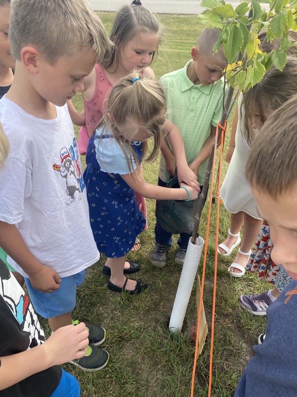 Happy to take care of their tree