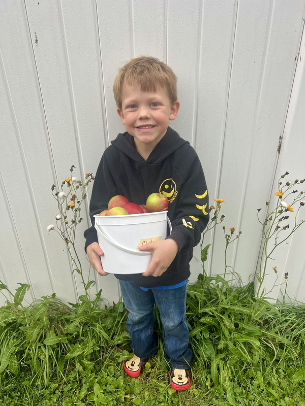preschooler with apples