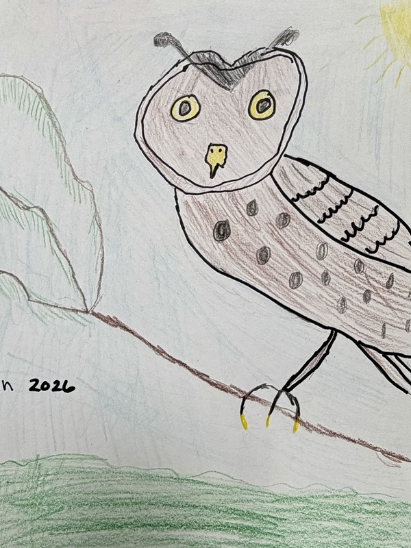 Art to Remember projects