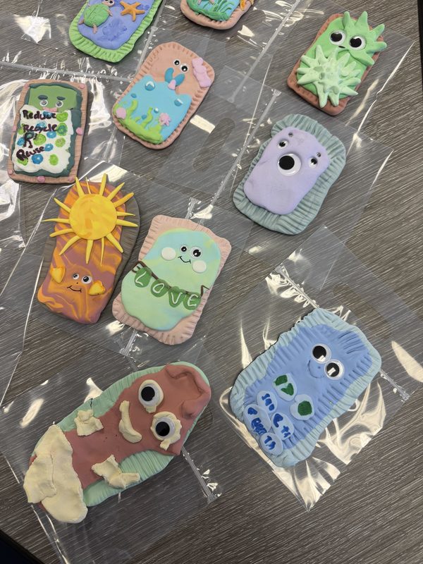Earth Day Poptart