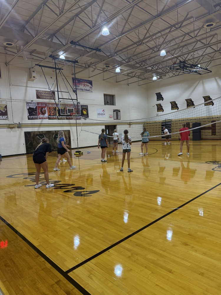 volleyball