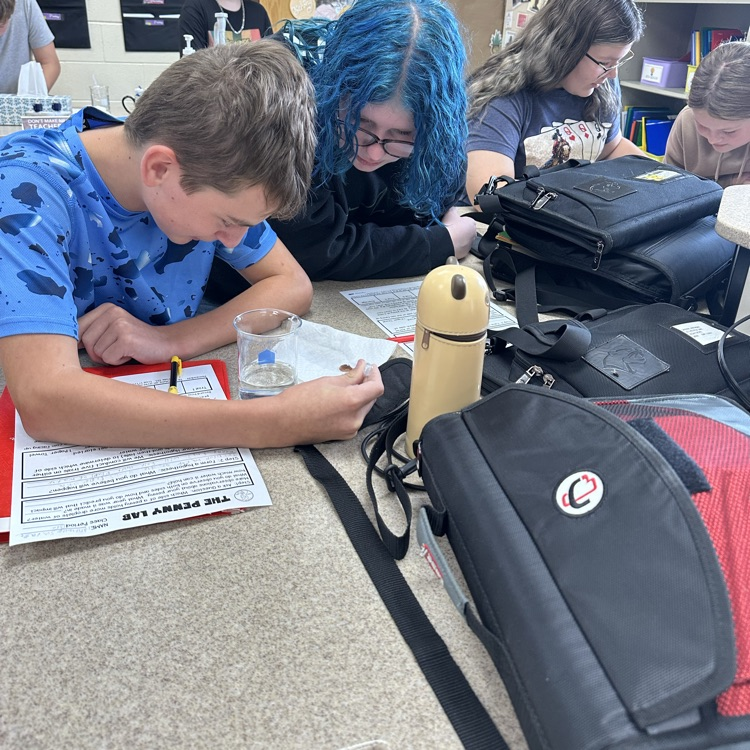students working on penny lab