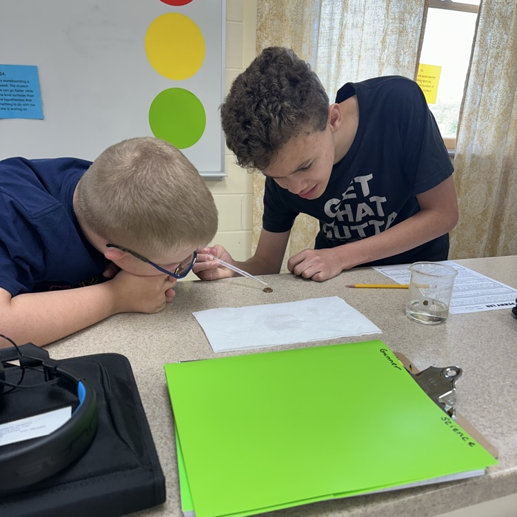 students working on penny lab