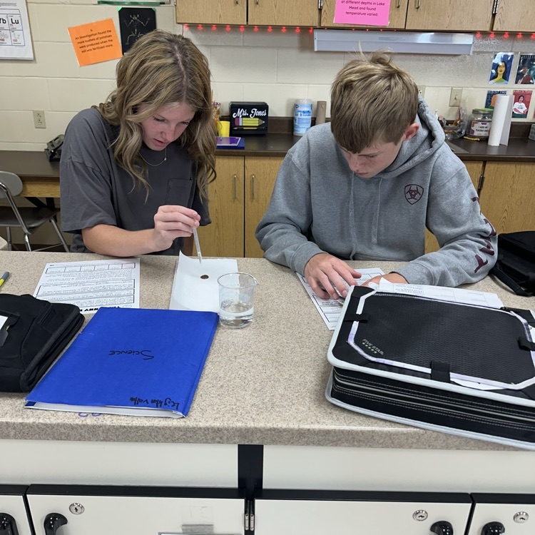 students working on penny lab