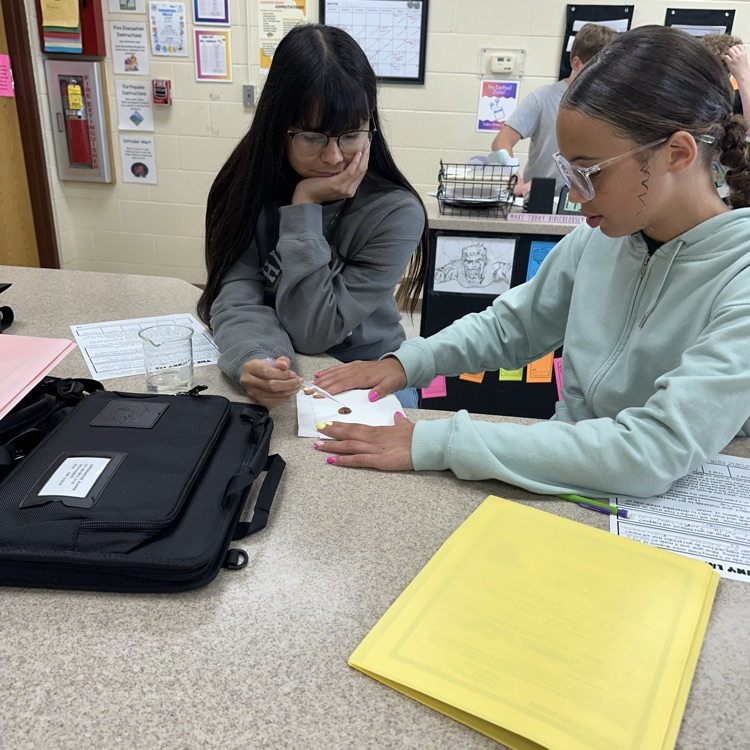 students working on penny lab