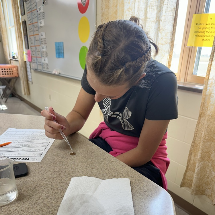 students working on penny lab