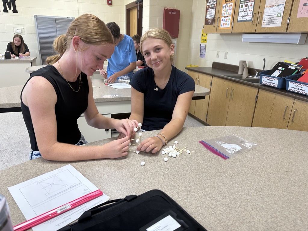 Students building their marshmallow toothpick structures