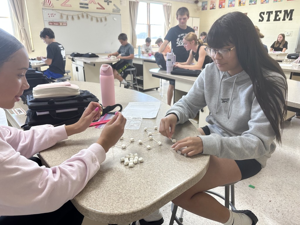 Students building their marshmallow toothpick structures