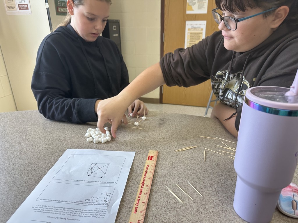 Students building their marshmallow toothpick structures