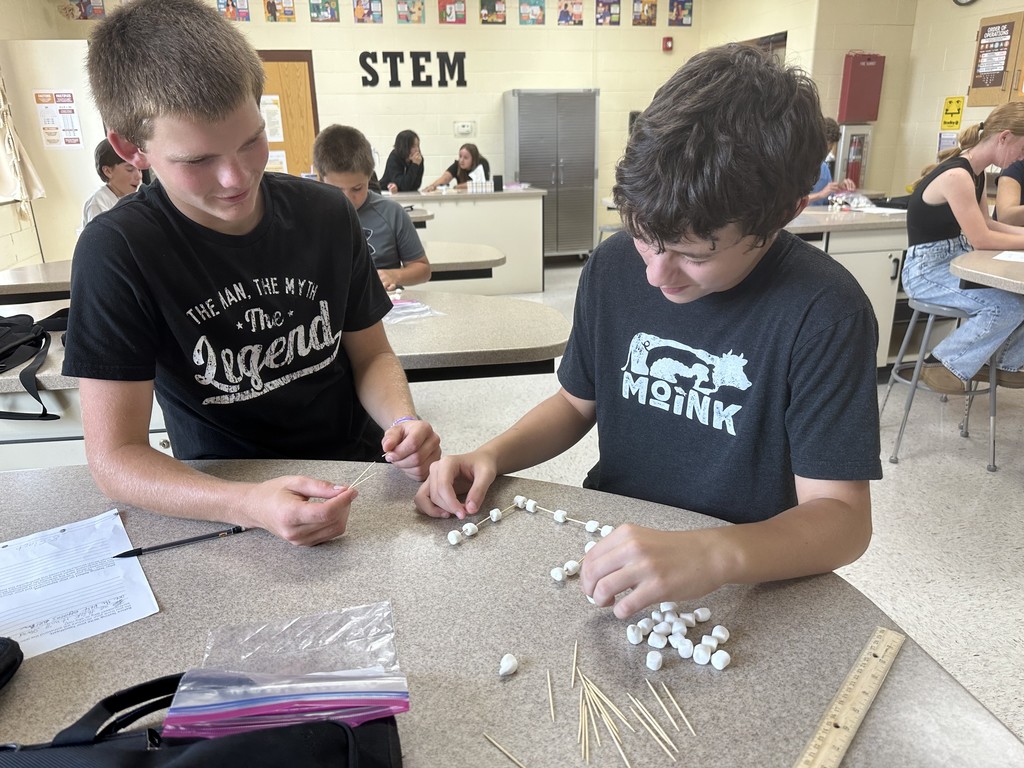 Students building their marshmallow toothpick structures