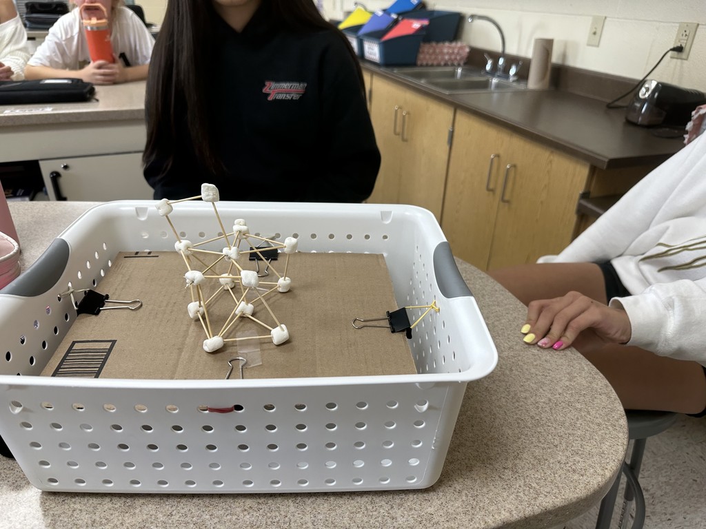 Testing the structures on a shaker table