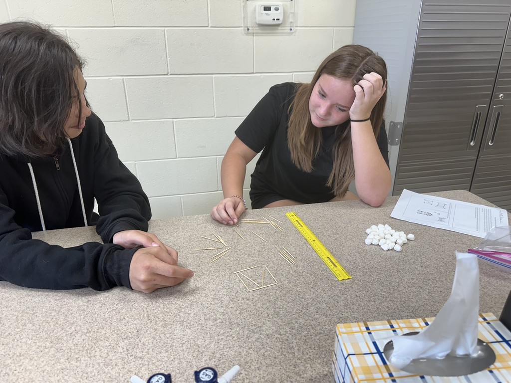 Students building their marshmallow toothpick structures