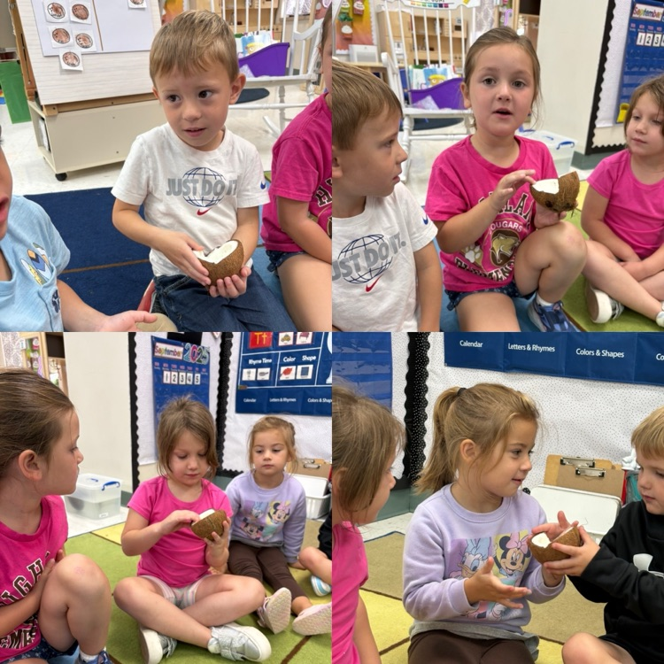 Feeling and smelling the inside of a coconut.