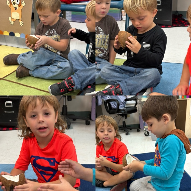 Feeling and smelling the inside of a coconut.