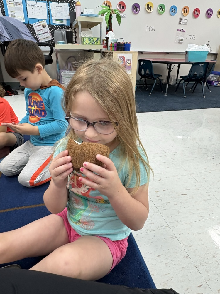 Feeling and smelling the inside of a coconut.