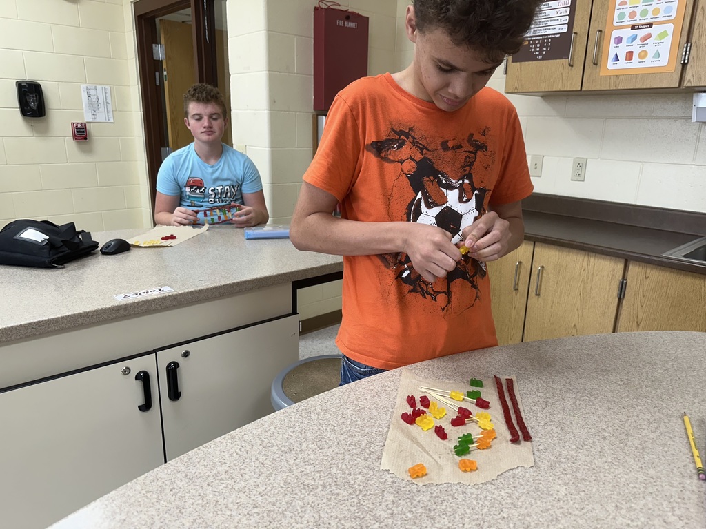 Students building their candy DNA models