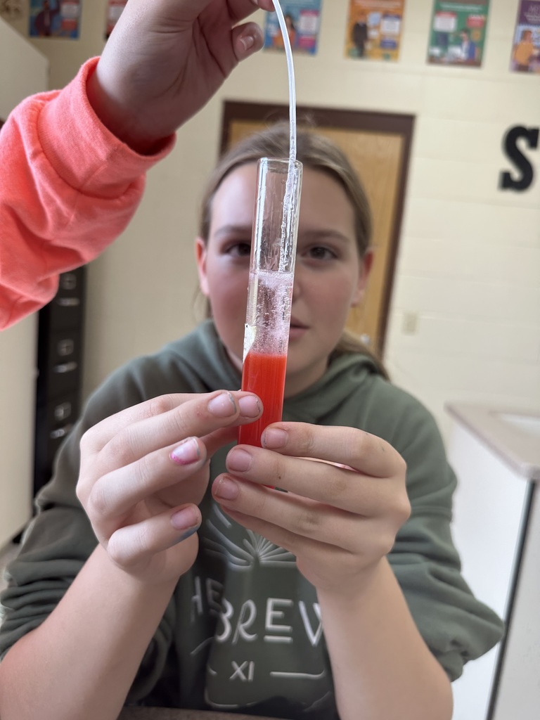 Extracting DNA from strawberries
