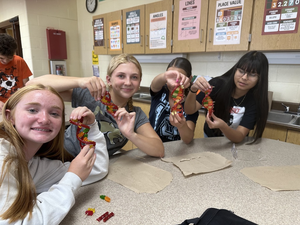Students showing their candy DNA models