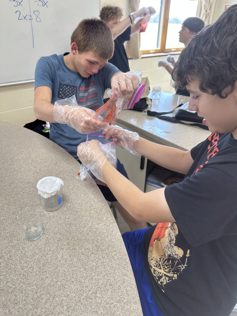 Extracting DNA from strawberries