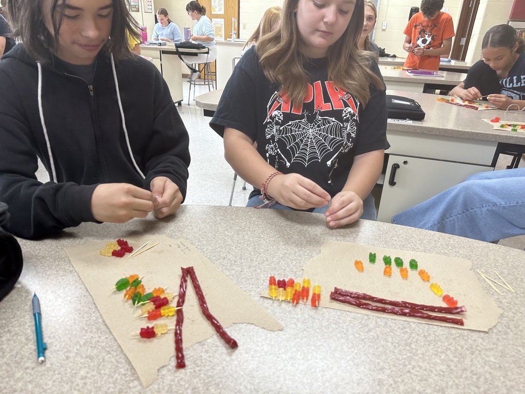 Students building their candy DNA models