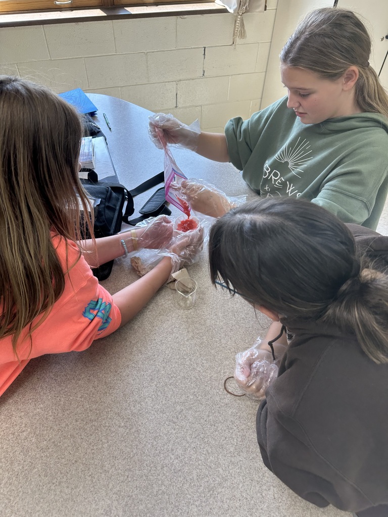 Extracting DNA from strawberries