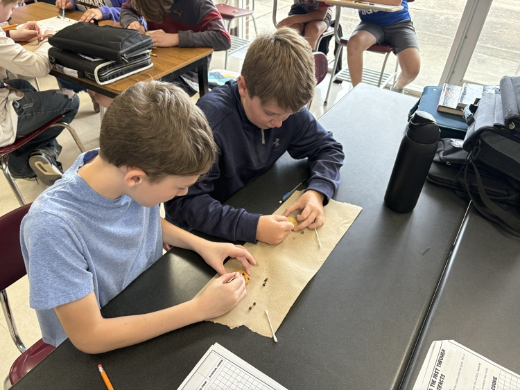 JH World History