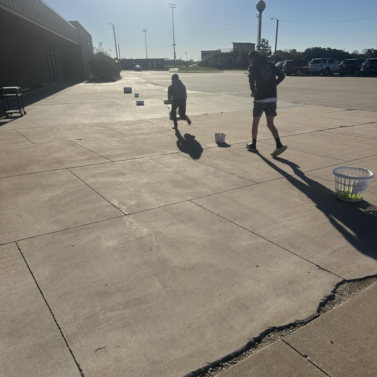 photosynthesis relay race