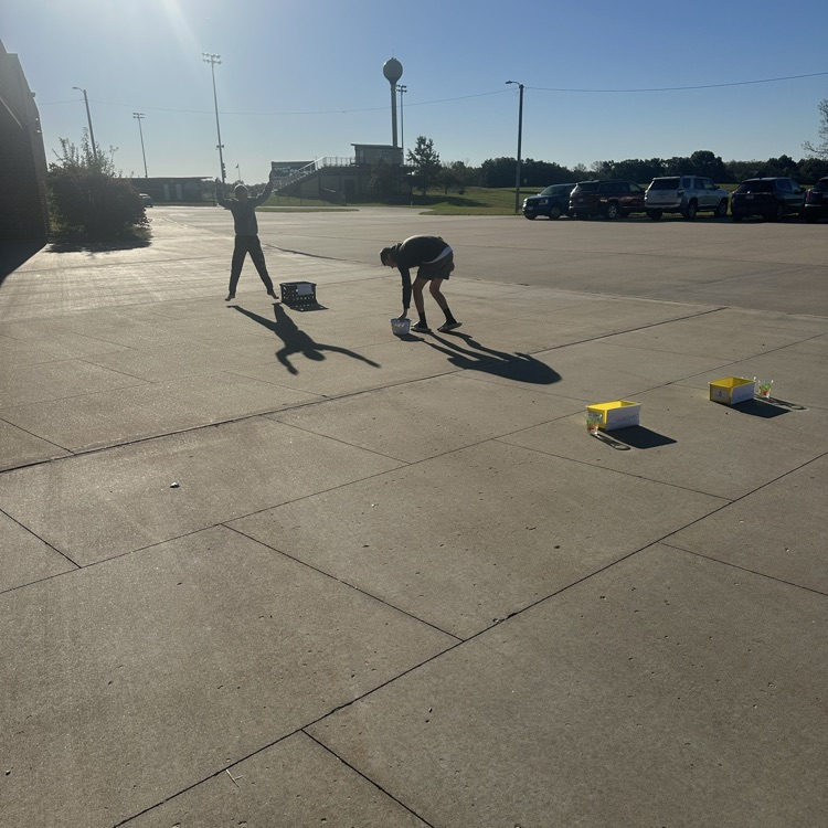 photosynthesis relay race