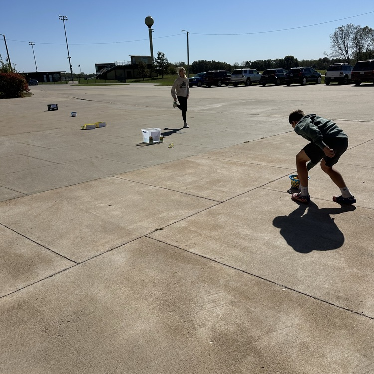 photosynthesis relay race