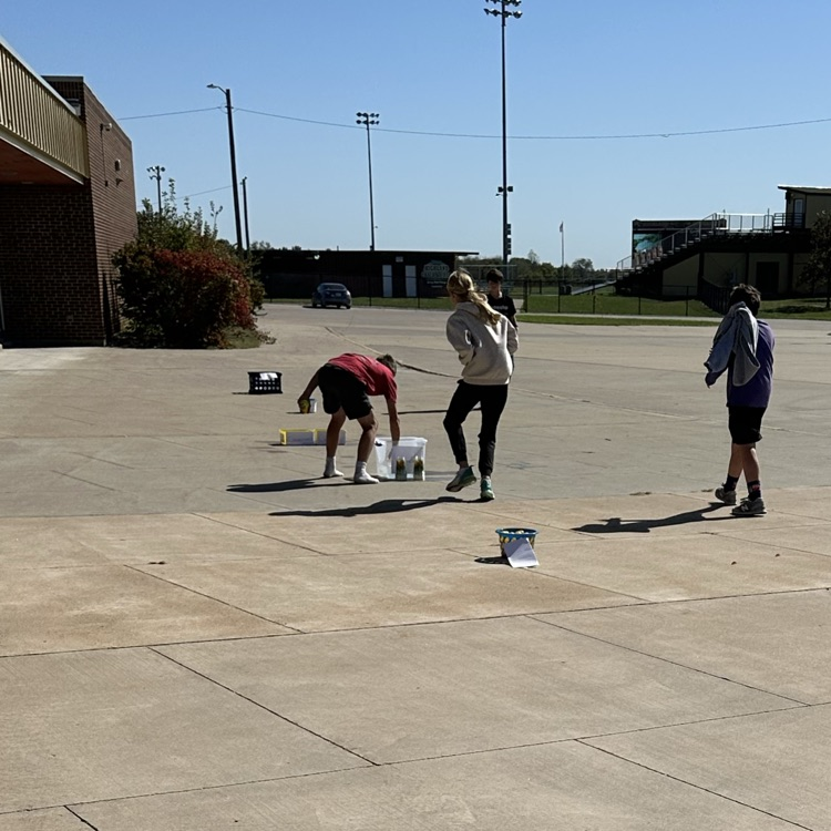 photosynthesis relay race