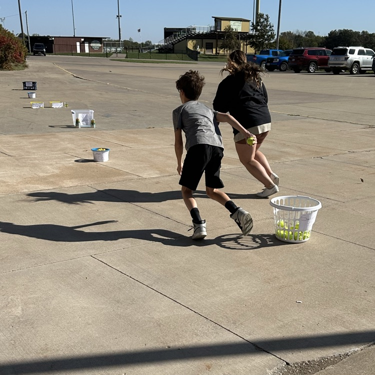 photosynthesis relay race