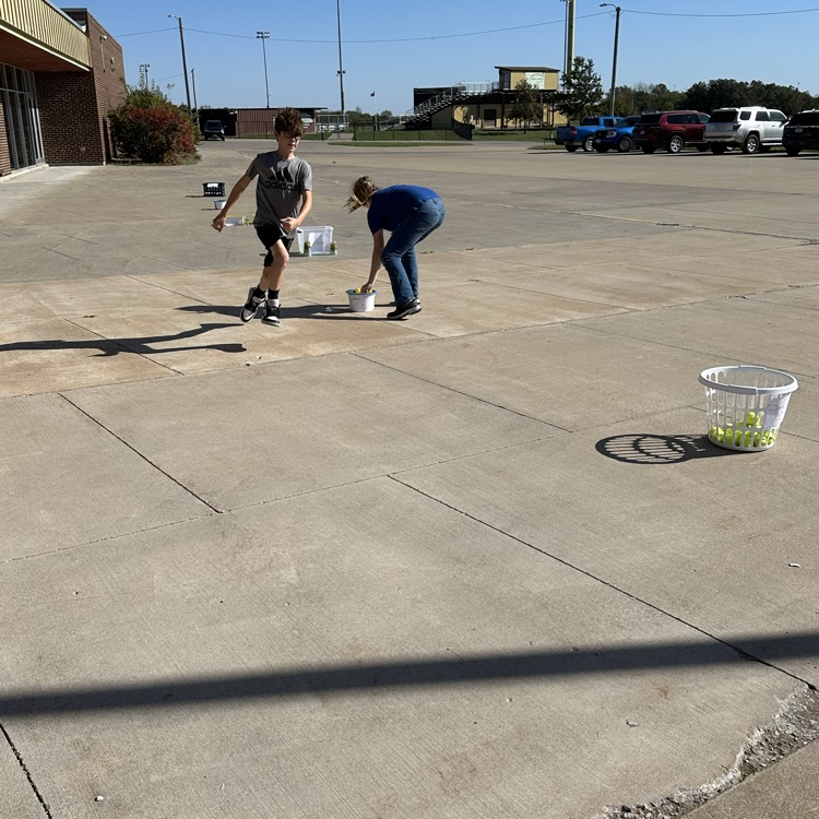 photosynthesis relay race